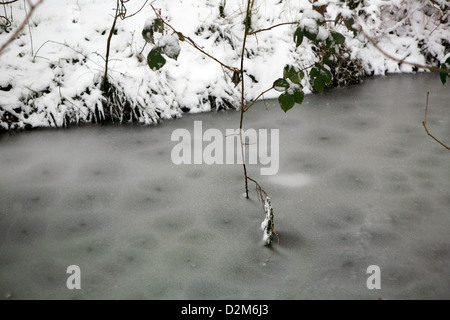 Gefrorenes Graben Wasser in einer Flussaue, Kidlington, Oxfordshire, England. Ein Ast wird im Wasser eingefroren. Stockfoto