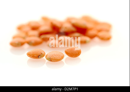 Bio ganze rote Linsen auf nahtlose weißen Hintergrund mit Schatten. Stockfoto