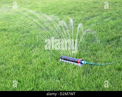 Rasen wird durch Sprinkler bewässert Stockfoto