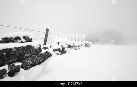 An einem nebligen Tag nach starkem Schneefall auf Dartmoor führen einer Steinmauer und Zaunlinie das Auge in einen Nebel gehüllt-Wald Stockfoto