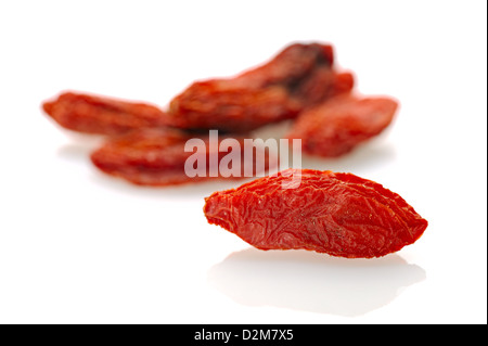 Wolf-Beeren und Goji-Beere auf nahtlose weißen Hintergrund mit Schatten. Stockfoto