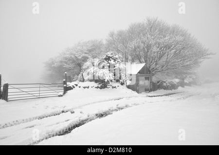 Ein nebliger Tag auf Dartmoor. Schnee und Nebel isolieren eine Garage am Rande des Dartmoor. Stockfoto