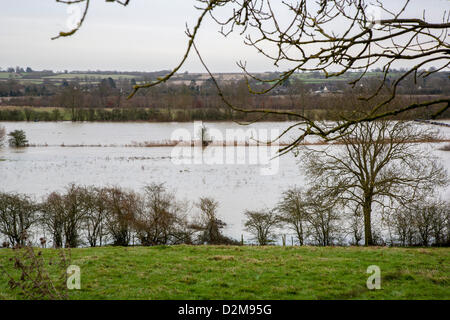 Harrold Bedfordshire, U.K.2013-01-28. Der Fluss Great Ouse überläuft es Banken und Ackerland in der Nähe von Harrold Überschwemmungen. Carlton rd verlassen das Dorf überschwemmt und für den Verkehr gesperrt. Stockfoto