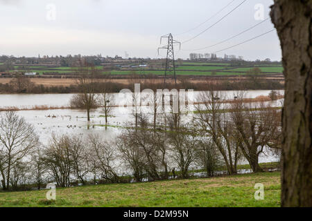 Harrold Bedfordshire, U.K.2013-01-28. Der Fluss Great Ouse überläuft es Banken und Ackerland in der Nähe von Harrold Überschwemmungen. Carlton rd verlassen das Dorf überschwemmt und für den Verkehr gesperrt. Stockfoto