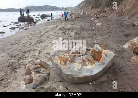 Moeraki Boulders, Südinsel, Neuseeland Stockfoto