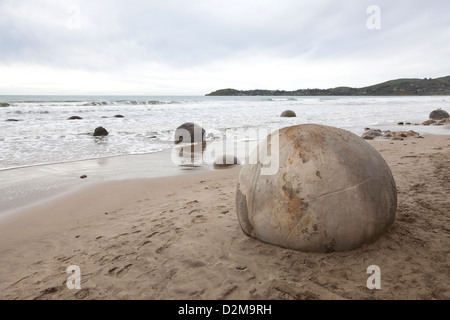 Moeraki Boulders, Südinsel, Neuseeland Stockfoto