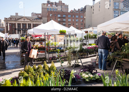 Union Square Greenmarket, NYC Stockfoto