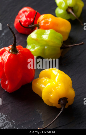 Scotch Bonnet Chilis Stockfoto