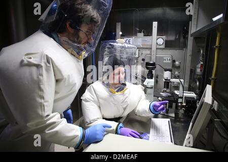 Die Virologen Lisa Oestereich und Toni Rieger (L) arbeiten mit dem Fluoreszenzmikroskop in das neue BSL-4-Labor (Biosafety Level 4) von der Bernhard-Nocht-Institut für tropische Medizin (BNI) in Hamburg, Deutschland, 25. Januar 2013. Die Wissenschaftler tragen unter ihrer Haube und Schutzanzüge, Mikrofone und Kopfhörer, so sie Coomunicate mit einander ohne Gefahr aussetzen können. Erkunden sie gefährliche Viren. Foto: Christian Charisius) Stockfoto