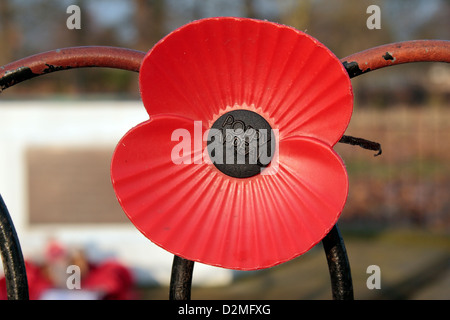 Eine große Mohnblume auf dem United States Army Air Forces WWII Denkmal in Bushy Park, West-London, UK. Stockfoto