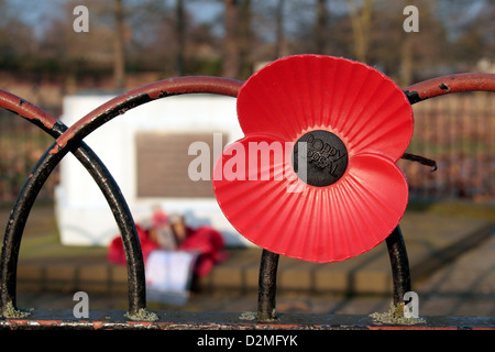 Eine große Mohnblume auf dem United States Army Air Forces WWII Denkmal in Bushy Park, West-London, UK. Stockfoto