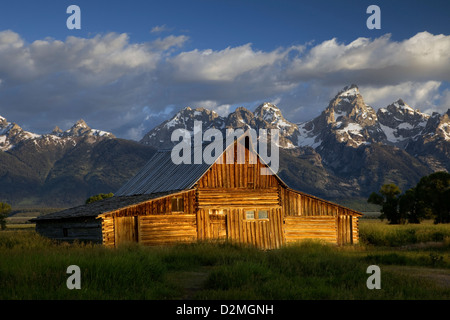WY00293-00... WYOMING-Scheune entlang der Mormonen-Straße im Grand Teton National Park. Stockfoto