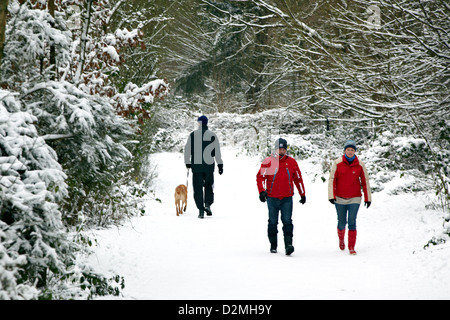 Winter auf Hampstead Heath London UK Stockfoto