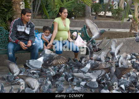 Mexikanische Familie genießen, füttern der Tauben in einem Park in alten Mazatlan, Mexiko. Stockfoto