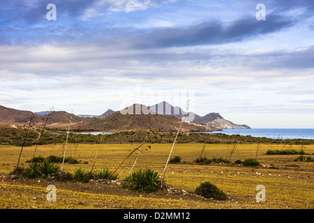 Los Genoveses Strand in Cabo de Gata Natural Park. Almeria, Andalusien, Spanien Stockfoto