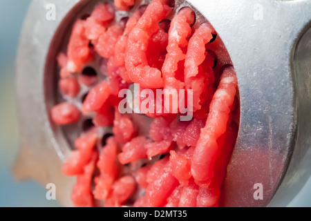 Makrofoto des Fleischwolf Maschine mit frisch gehacktem Fleisch Stockfoto