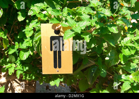 Melden Sie sich in der Nähe von Herrentoilette - Gliederung der Mann in schwarz auf gelbe Karte hängen in den Bäumen Stockfoto