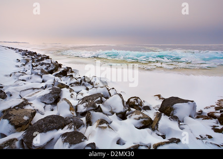 gebrochene Schelfeis an Nordsee im Winter, Niederlande Stockfoto