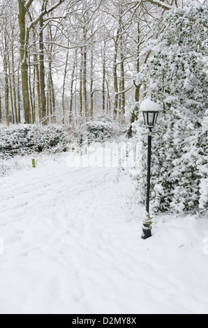 Schnee bedeckte Lampe von verschneiten Bäumen und track Stockfoto