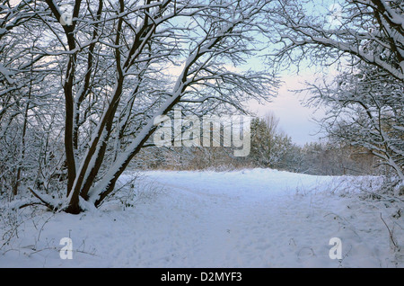 Eine schöne szenische Winter Januar Morgen Stockfoto