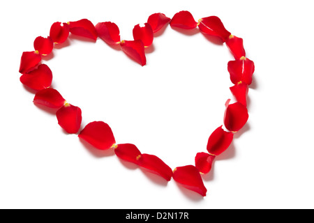 Rote Rosenblätter in Herzform auf weißem Hintergrund Stockfoto