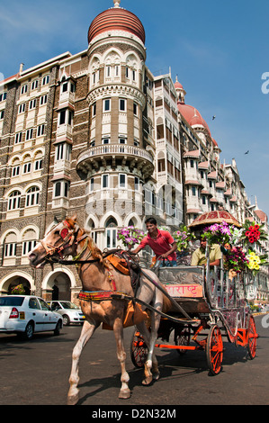 Pferdekutsche auf einer Besichtigungstour durch Colaba Mumbai vor dem Taj Mahal Palace Hotel Mumbai ( Bombay ) Indien Stockfoto