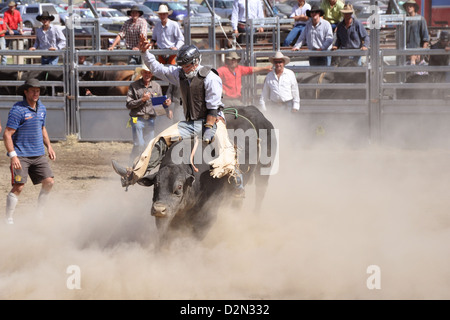 Bullenreiten bei einem Rodeo-Wettbewerb Stockfoto