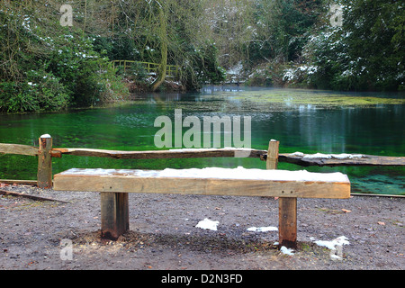 Stille-Pool in der Nähe von Albury, Surrey, England Stockfoto