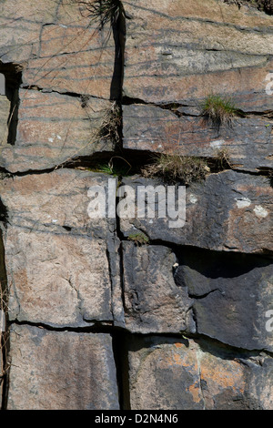 Peninne Gritstone in den Hügeln rund um Saddleworth Stockfoto