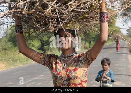 Mir Stammesfrauen mit Brennholz, Gujarat, Indien, Asien Stockfoto