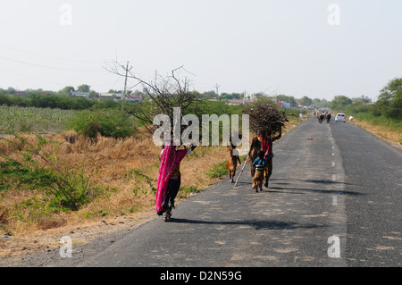 Indianerin mit Brennholz nach Hause, Gujarat, Indien, Asien Stockfoto