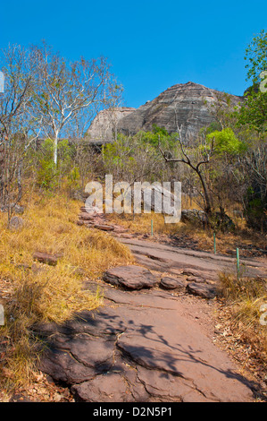 Kakadu National Park, UNESCO-Weltkulturerbe, Northern Territory, Australien, Pazifik Stockfoto