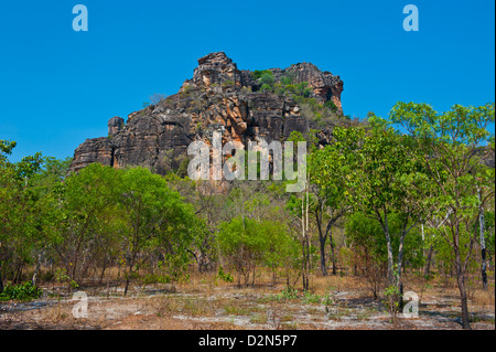 Kakadu National Park, UNESCO-Weltkulturerbe, Northern Territory, Australien, Pazifik Stockfoto