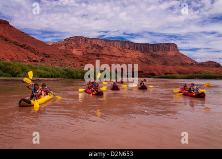 Rafting auf dem oberen Colorado River in der Nähe von Moab, Utah, Vereinigte Staaten von Amerika, Nordamerika Stockfoto