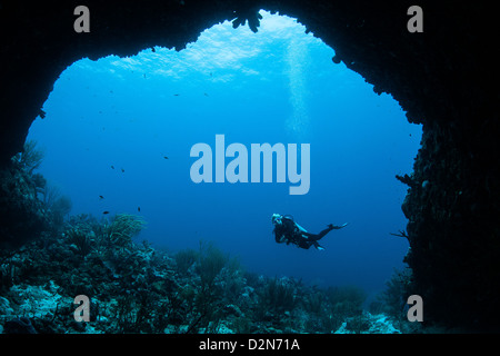 Taucher im kristallklaren Wasser der Karibik auf Curacao Stockfoto