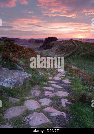 Der Roman Wall bei Sonnenaufgang mit Blick auf die aufgehende Sonne im Osten nahe Housesteads Roman Fort in Northumberland Stockfoto