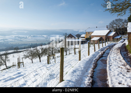 Verschneiten Weg zum Osten Lynch Bauernhof in der Nähe von Selworthy auf Exmoor Stockfoto