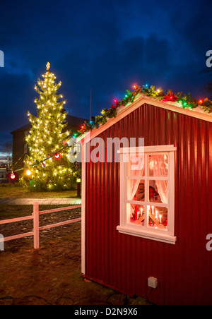 Kleines Haus von Weihnachten Reykjavik Island. Kleines gemütliches Haus einrichten Während der Feiertage den Geist von Weihnachten zu genießen. Stockfoto