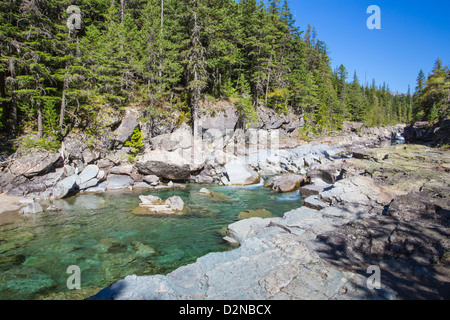 McDonald Creek entlang zu den Sun Road im Glacier National Park in den Rocky Mountains von Montana Stockfoto