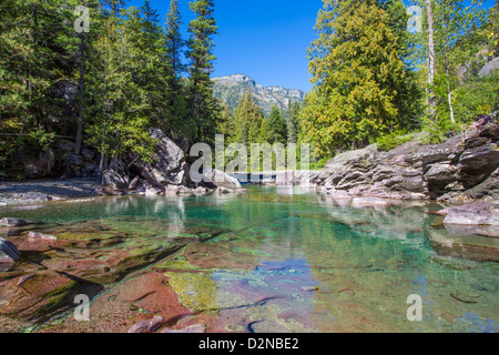 McDonald Creek entlang zu den Sun Road im Glacier National Park in den Rocky Mountains von Montana Stockfoto