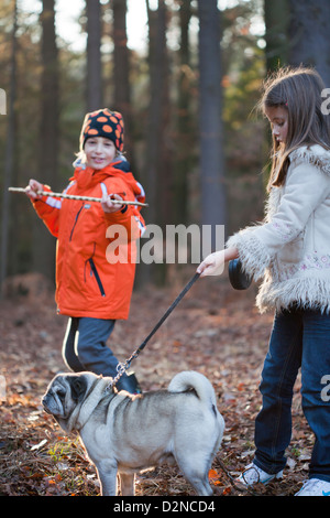 Jungen und Mädchen mit einem Hund auf einem Spaziergang durch den Wald. Stockfoto