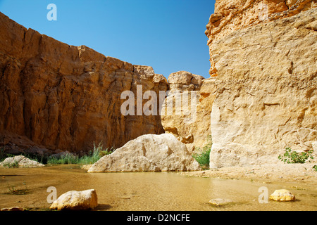 Bergoase Tamerza in Tunesien in der Nähe der Grenze zu Algerien. Stockfoto