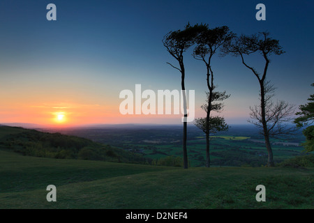 Sonnenuntergang über Chanctonbury Ring, South Downs National Park, Sussex, England, UK Stockfoto