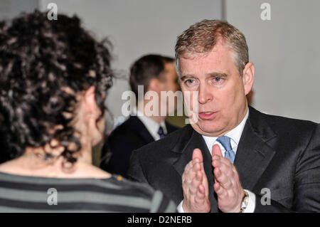 29. Januar 2013, Belfast, Nordirland. Prinz Andrew, der Herzog von York, im Gespräch mit einer der Innovatoren im Wissenschaftspark Northern Ireland Stockfoto