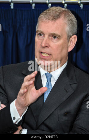 29. Januar 2013, Belfast, Nordirland. Prince Andrew, Duke of York, hält eine Rede bei der Northern Ireland Science Park Stockfoto