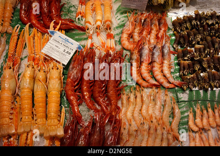 Meeresfrüchte Gamba Garnele Langostino Garnelen Scampi Cigala Scampi Dublin bay Norwegen Hummer Markt Madrid frisch für Verkauf Mercado s Stockfoto