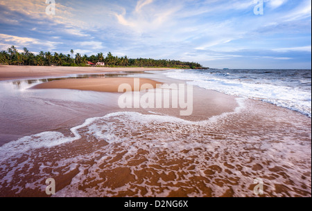 Sonnenuntergang am Sandstrand, gesäumt von Kokospalmen und dem arabischen Meer im Thottada Village, Kannur, Kerala, Indien. Stockfoto