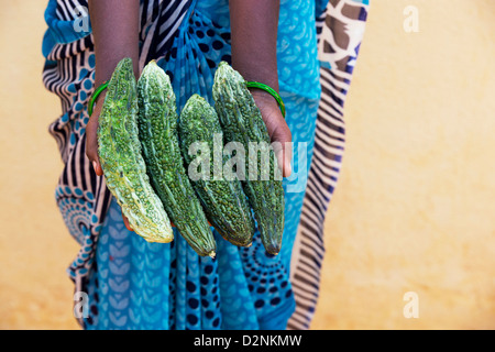 Indische Dorf Frau bittere Kürbisse (Bittermelone) in ihren Händen hält. Andhra Pradesh, Indien Stockfoto