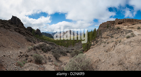 Blick auf Panorama-Berg, Barranco de Nublo, Fataga, Gran Canaria, Kanarische Inseln, Spanien Stockfoto