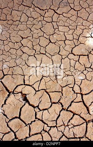 Dürre, der Boden Risse, kein heißes Wasser, Mangel an Feuchtigkeit. Stockfoto